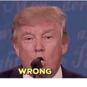 Meet your Posher, Devon